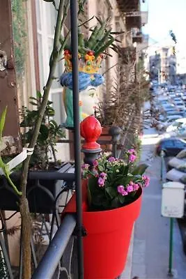 Green House Al Massimo